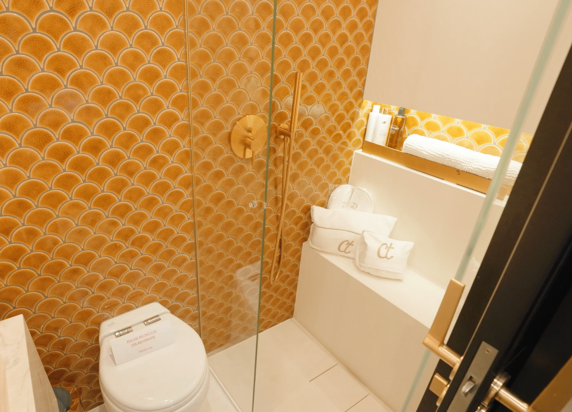 CATALLAXY guest bath with bronze tile shower